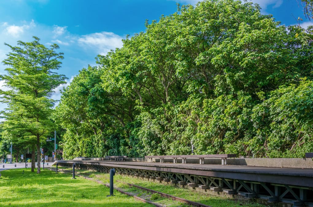 桃林鐵馬道實景拍攝